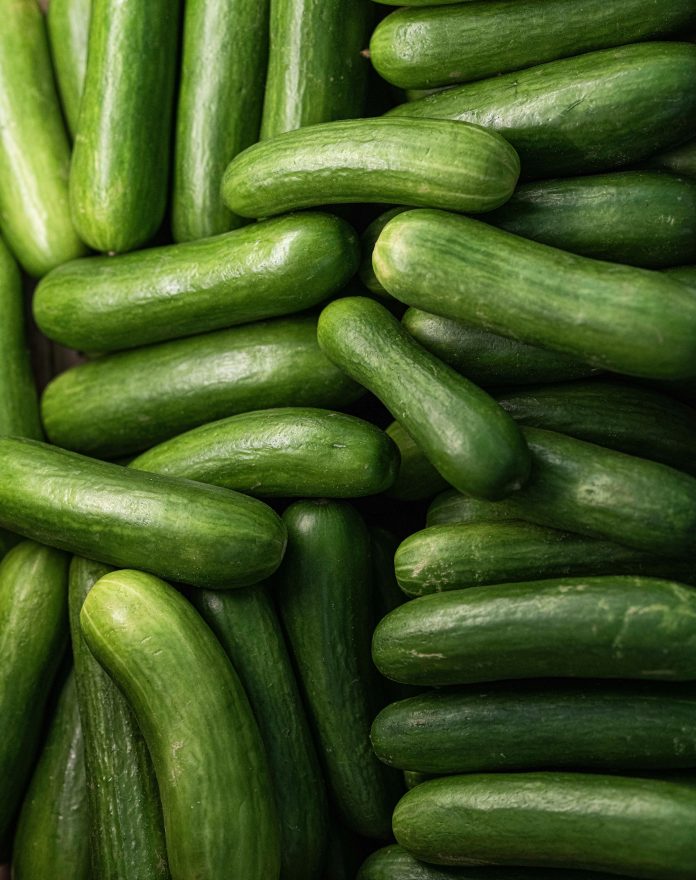CUCUMBER